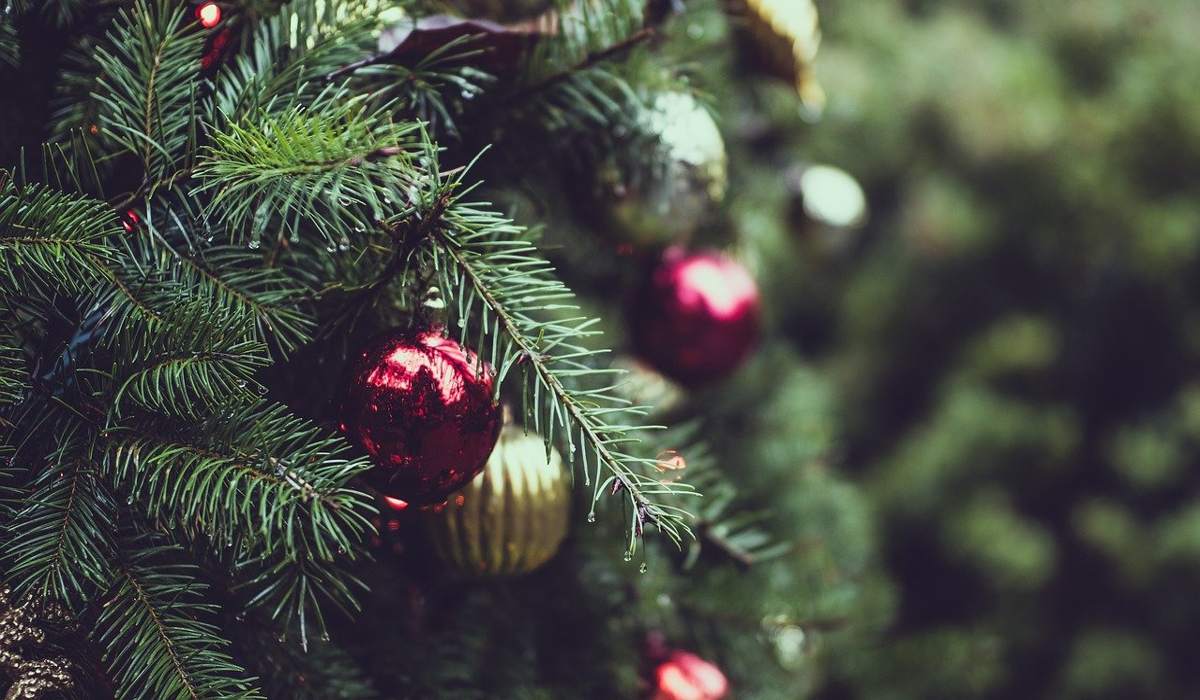 Προσοχή με το που θα πετάξετε το χριστουγεννιάτικο δέντρο