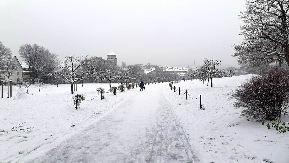 Χειμώνας στη Στουτγκάρδη – Τόσο χιόνι είναι σπάνιο φαινόμενο