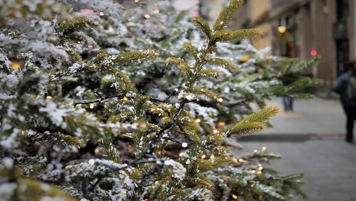 Χριστουγεννιάτικο δέντρο προκαλεί οργή στο Ντόρτμουντ