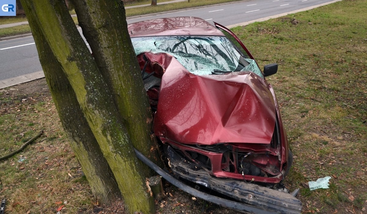 Βάδη-Βυρτεμβέργη: Νεκρός οδηγός από σύγκρουση με δέντρο