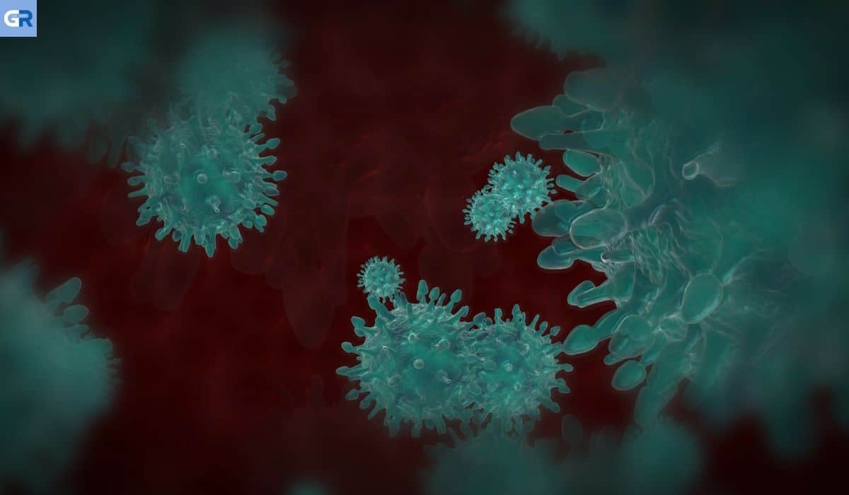 Η Γερμανία θα κηρύξει τη Νότια Αφρική περιοχή παραλλαγής ιού