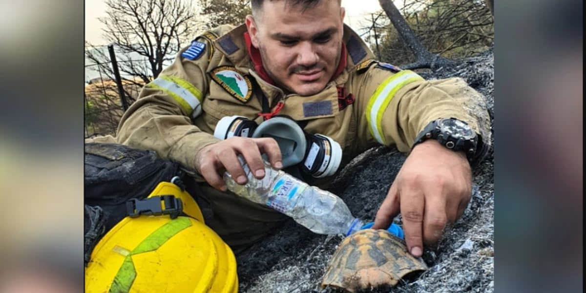 Ο πυροσβέστης που έδωσε νερό στη χελώνα συγκινεί όλη την Ευρώπη
