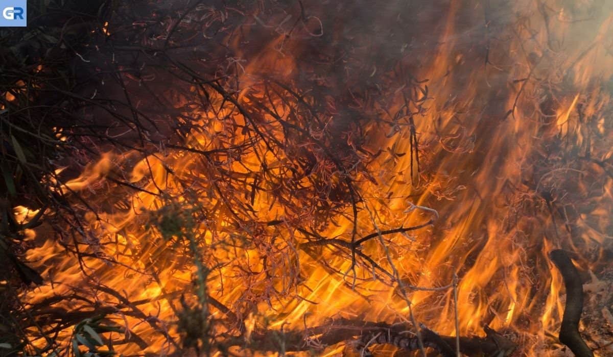 Μάχη με τις φλόγες σε δασικές πυρκαγιές στη Βαυαρία