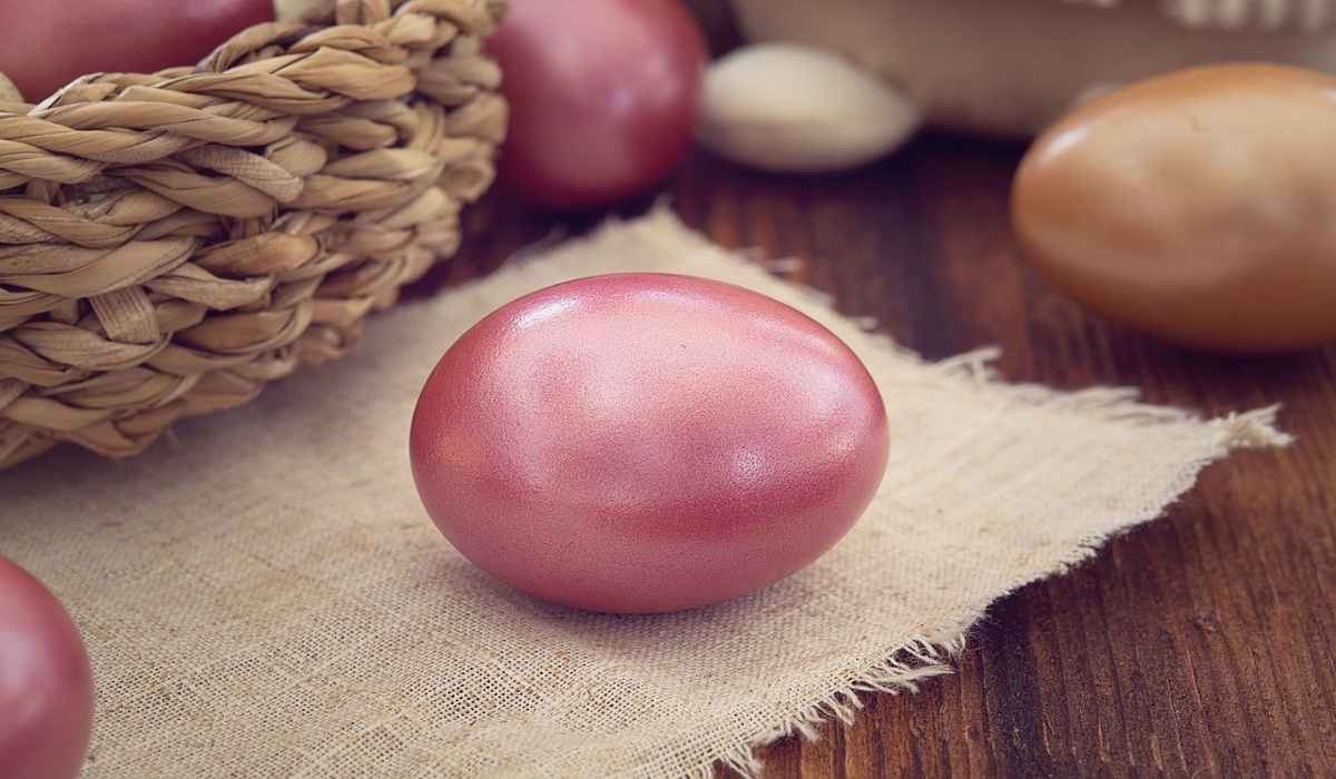 8 Οκτωβρίου: Παγκόσμια Ημέρα Αυγού | GRland
