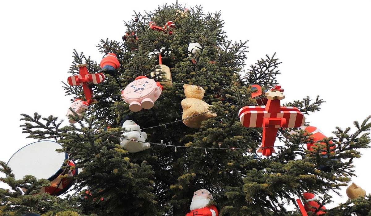 2022: Πού να πετάξετε το χριστουγεννιάτικο δέντρο σας στο Μόναχο;