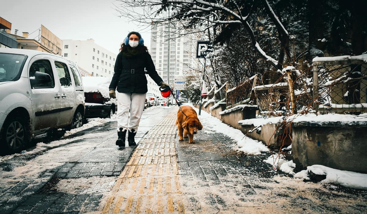 Κοροναϊός: Σκύλοι μυρίζουν τον ιό στους ανθρώπους με μεγάλη ακρίβεια