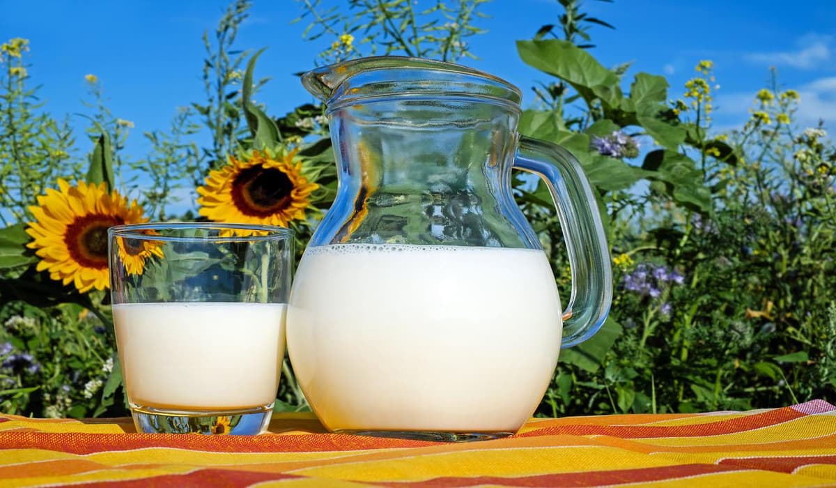 Γαλακτοπαραγωγή: Η Γερμανία αντεπιτίθεται με γάλα σανού