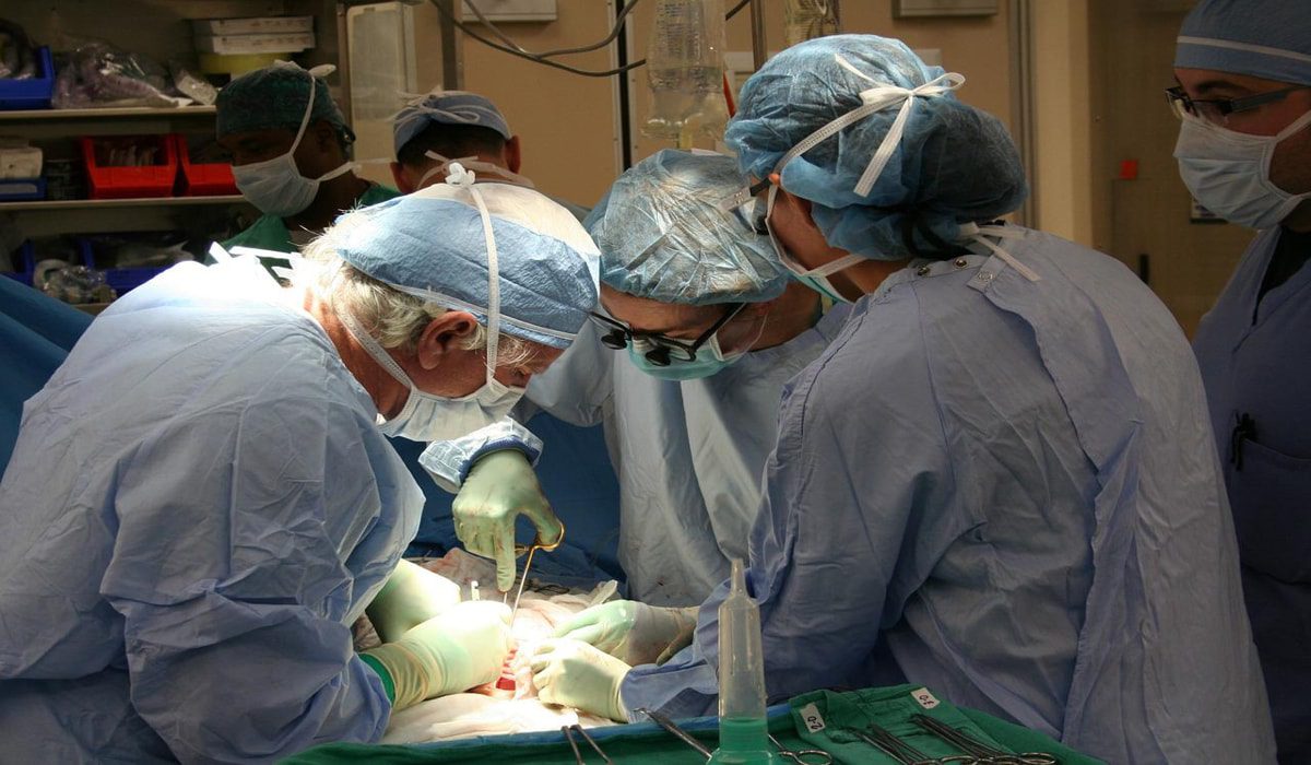 Ενός λεπτού σιγή στο χειρουργείο για την αφαίρεση οργάνων (Vid)
