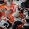 Γερμανία: Για γλυτώσουν ρεύμα άναψαν ψησταριά για να ζεσταθούν