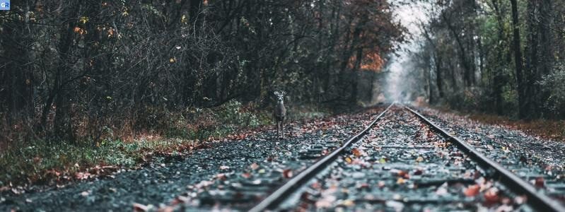 5 καλύτεροι ιστότοποι για ταξίδια με τρένο στην Ευρώπη