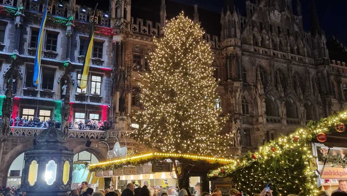 Φωτίστηκε το χριστουγεννιάτικο δέντρο του Μονάχου για το 2022