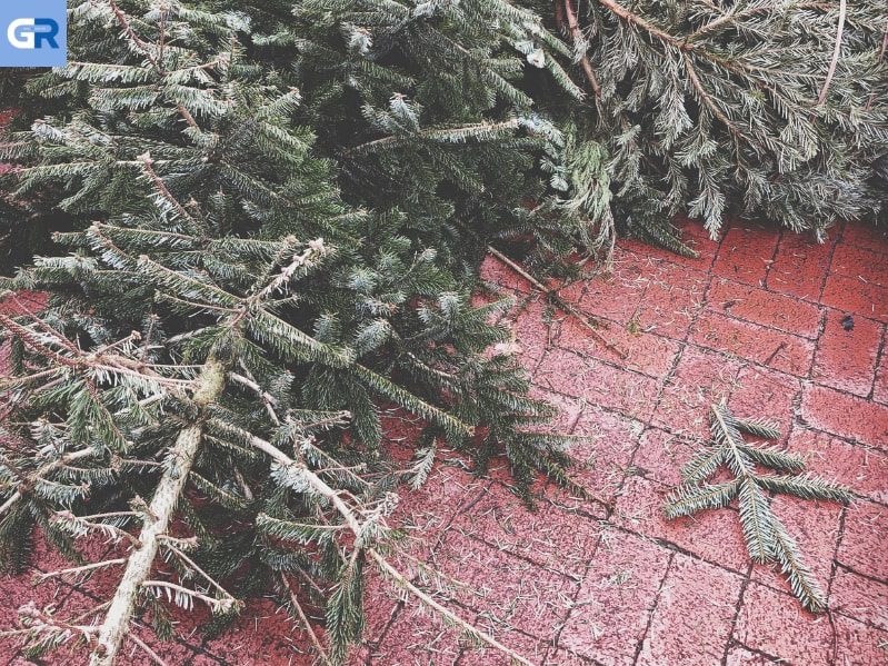 Γερμανία: Πέταξε Χριστουγεννιάτικο δέντρο από το παράθυρο