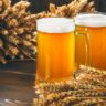 Ξεκίνησε το Franconian Beer Festival 2023 στη Νυρεμβέργη