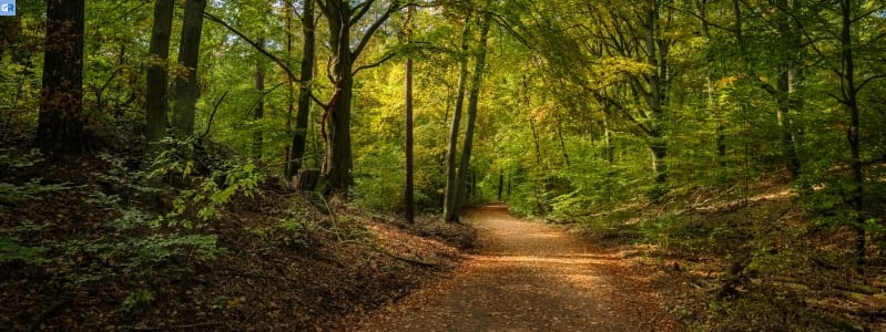 Μονοπάτια περιπέτειας για οικογένειες στη Βάδη-Βυρτεμβέργη