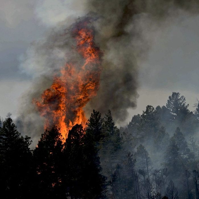 Ο Γερμανικός στρατός έβαλε κατά λάθος φωτιά σε δάσος μετά από άσκηση