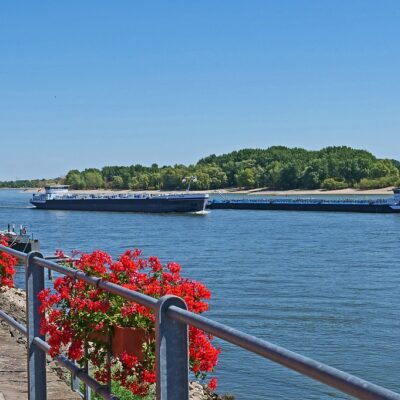 Το Καλοκαίρι επιστρέφει για το Σαββατοκύριακο στη Γερμανία: Καταιγίδες από τη νέα εβδομάδα