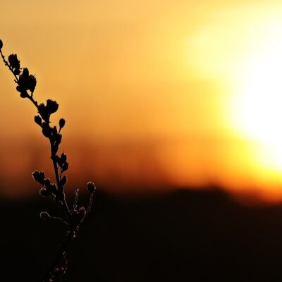 Ανησυχία: Ειδικός σε θέματα καιρού φοβάται θερμοκρασίες ρεκόρ στη χώρα